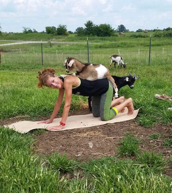 808 Goat Yoga